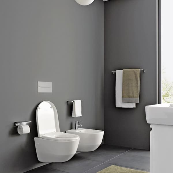 68316fa9-adb7-435c-a4b6-06c5a8714198_Wc-daska-LAUFEN-PRO-PROJECT-softclose-1.jpeg